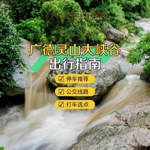 新手怎么去潘达利亚？老司机带你轻松到达！