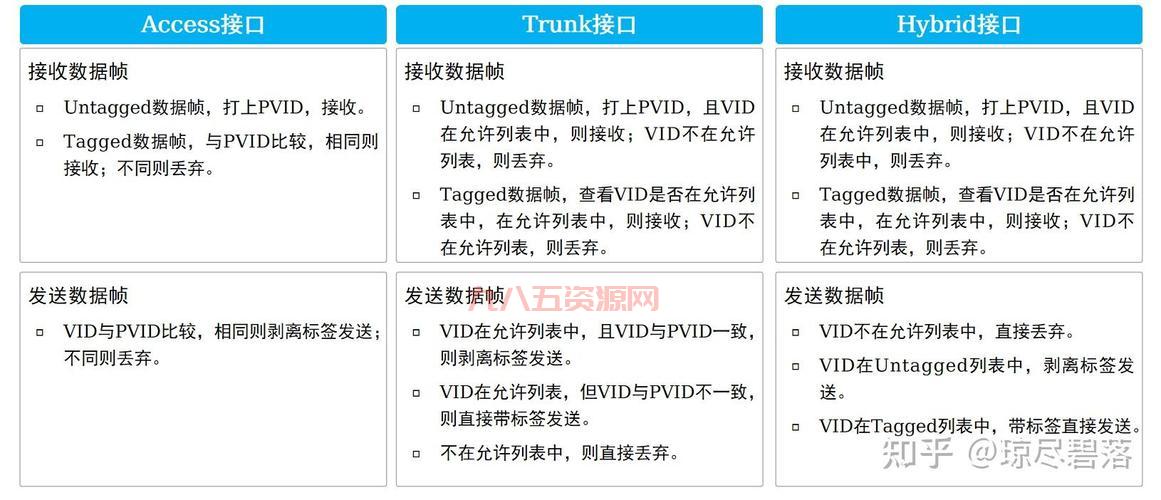 VLAN客户端入门：企业网络管理必备教程