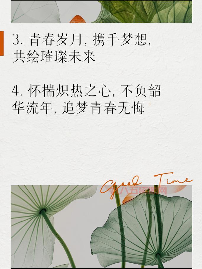 不负韶华是什么意思？深入解析青春无悔的真正含义
