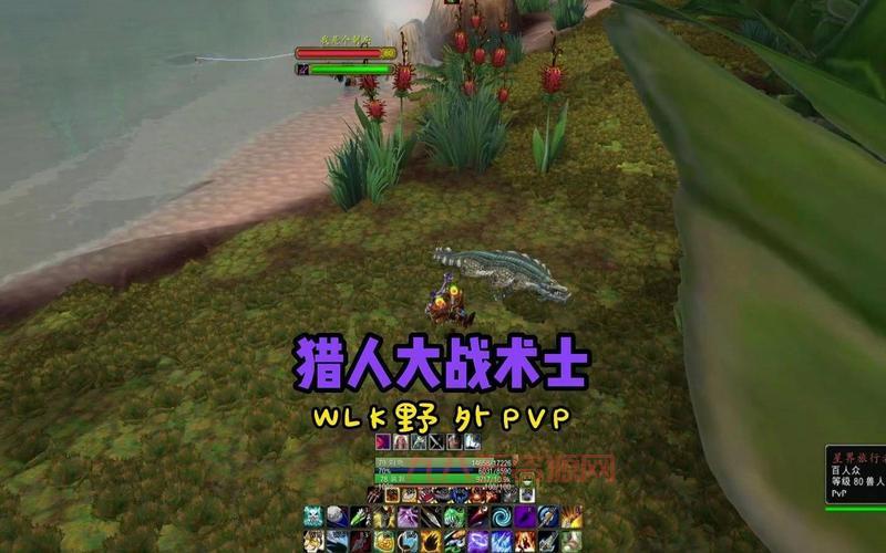 猎人怎么打巫妖王？这样操作输出高还安全！