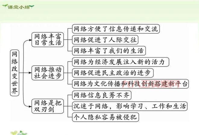 xxooyy5热门话题解读及其在网络中的影响