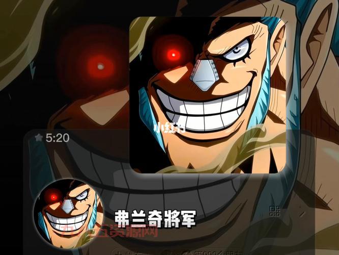 弗兰奇将军：海贼王中的机械奇才