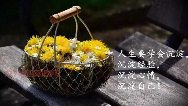 九妖内涵图官网入口，幽默与哲理齐聚的娱乐分享平台