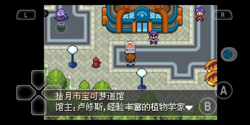口袋妖怪黑白道馆攻略！老玩家分享通关技巧！