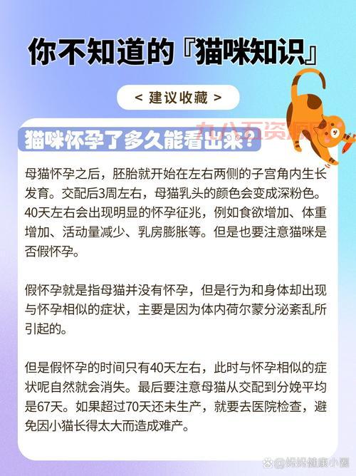 手机看猫片用什么app？猫咪视频软件在线看片合集！
