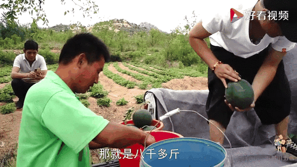 乡村农夫古拉加斯厉害吗？老玩家教你种田技巧！
