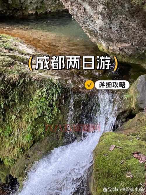 周末也疯狂，这几个热门游玩攻略你一定要知道！