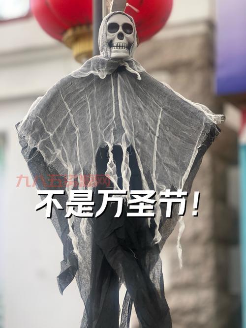 全球实况摄像都能看到啥？足不出户带你在线环游世界！