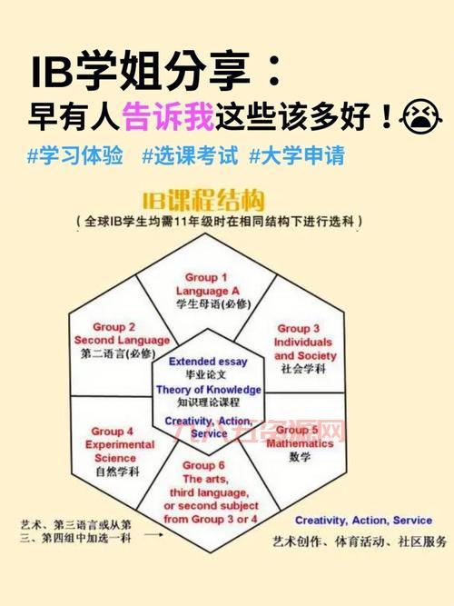 ib攻略哪里找？这些网站和论坛一定要看！