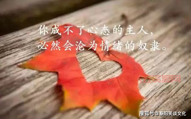 3lsoft到底怎么样？用过的朋友都来说说！