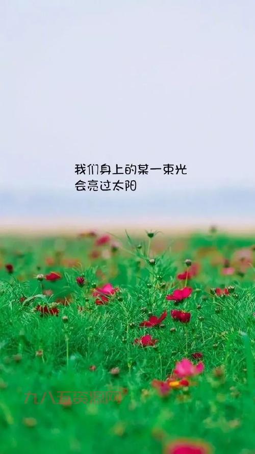 3lsoft到底怎么样？用过的朋友都来说说！