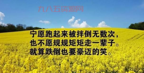3lsoft到底怎么样？用过的朋友都来说说！