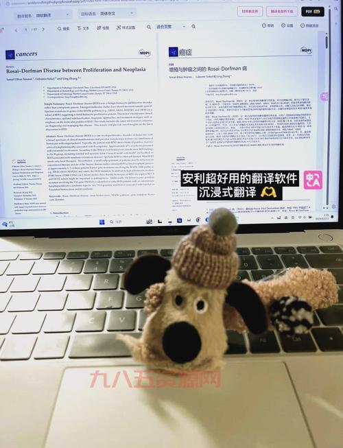 乱码翻译器在线使用，轻松解决乱码问题！