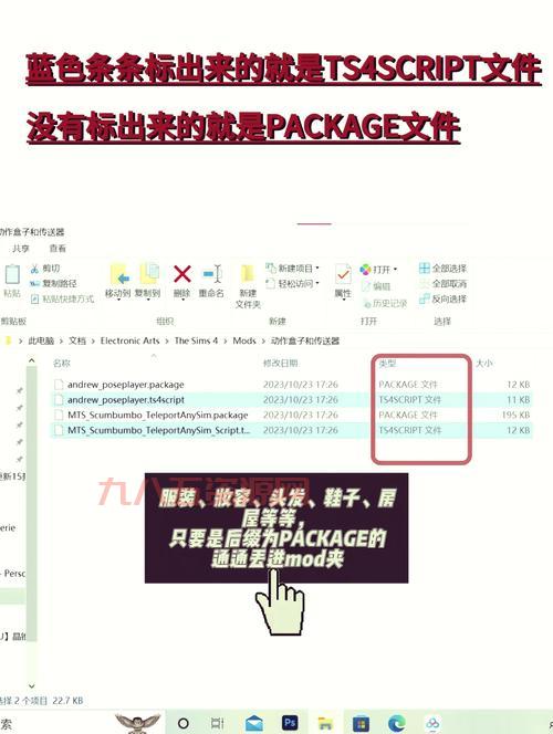 realcodec播放器插件怎么安装？新手一看就会！