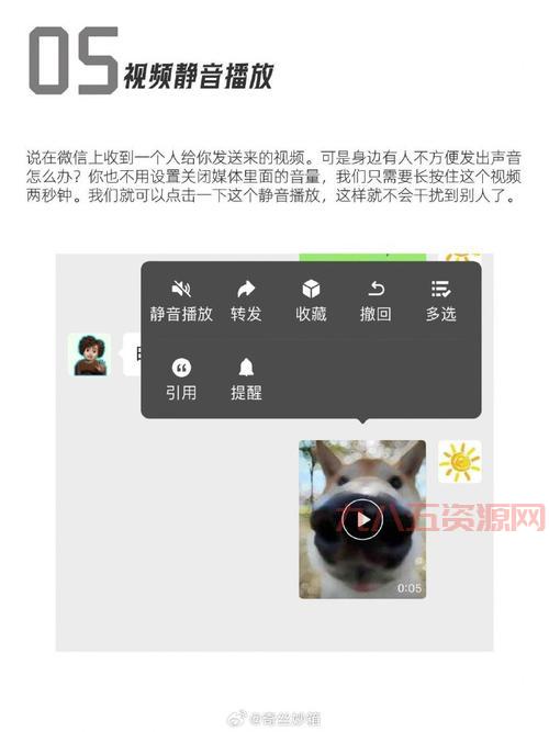 微信拍了拍你有什么用？原来隐藏了这么多功能！