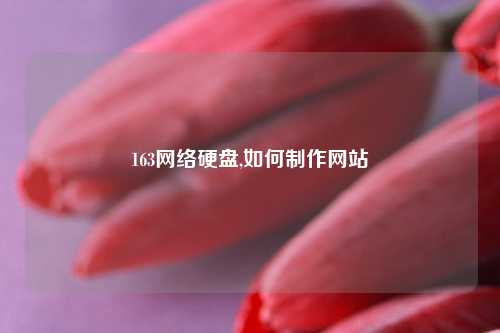163网络硬盘,如何制作网站