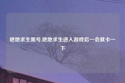 绝地求生黑号,绝地求生进入游戏后一会就卡一下