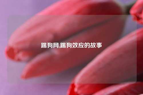 踢狗网,踢狗效应的故事