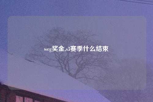 wcg奖金,s3赛季什么结束