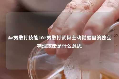 dnf男散打技能,DNF男散打武极主动觉醒里的独立物理攻击是什么意思
