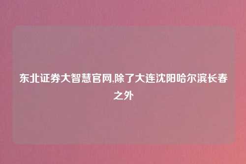 东北证券大智慧官网,除了大连沈阳哈尔滨长春之外