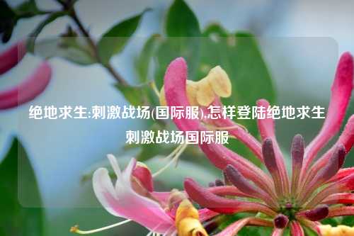 绝地求生:刺激战场(国际服),怎样登陆绝地求生刺激战场国际服