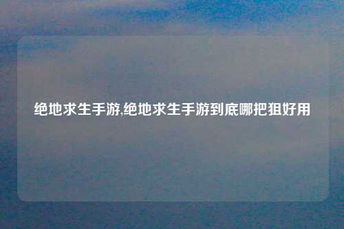 绝地求生手游,绝地求生手游到底哪把狙好用