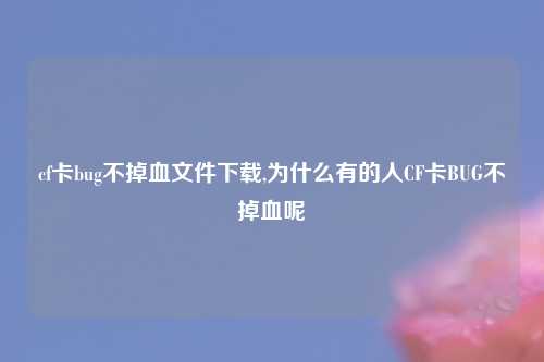 cf卡bug不掉血文件下载,为什么有的人CF卡BUG不掉血呢