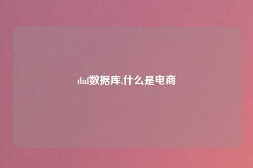 dnf数据库,什么是电商