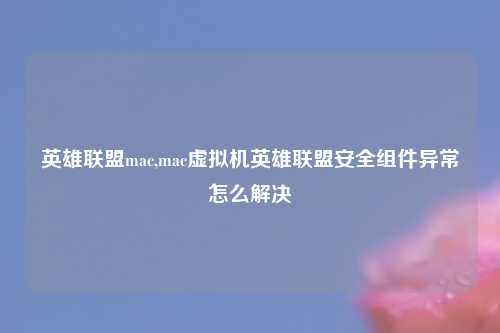 英雄联盟mac,mac虚拟机英雄联盟安全组件异常怎么解决