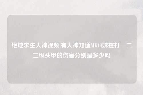 绝地求生大神视频,有大神知道MK14妹控打一二三级头甲的伤害分别是多少吗