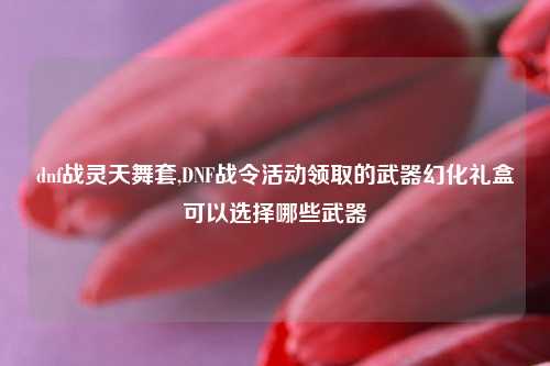 dnf战灵天舞套,DNF战令活动领取的武器幻化礼盒可以选择哪些武器