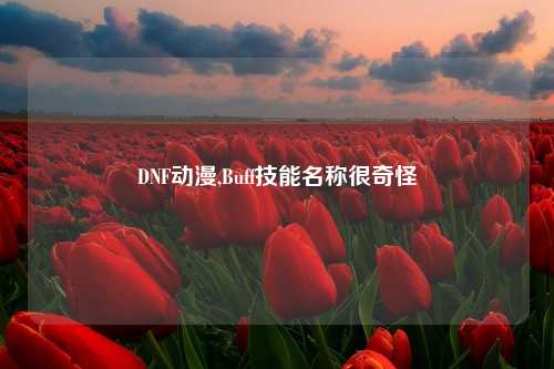 DNF动漫,Buff技能名称很奇怪