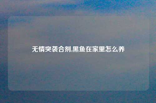 无情突袭合剂,黑鱼在家里怎么养