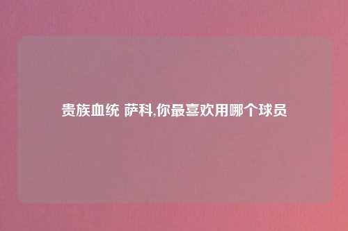 贵族血统 萨科,你最喜欢用哪个球员