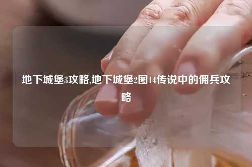地下城堡3攻略,地下城堡2图14传说中的佣兵攻略