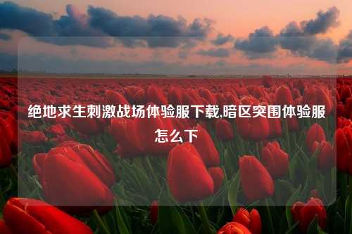 绝地求生刺激战场体验服下载,暗区突围体验服怎么下