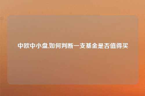 中欧中小盘,如何判断一支基金是否值得买