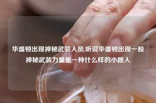 华盛顿出现神秘武装人员,听说华盛顿出现一股神秘武装力量是一种什么样的小跳人