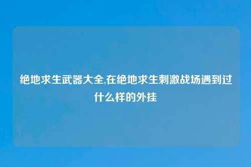 绝地求生武器大全,在绝地求生刺激战场遇到过什么样的外挂