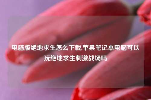 电脑版绝地求生怎么下载,苹果笔记本电脑可以玩绝地求生刺激战场吗