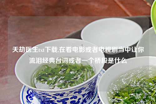 天劫医生txt下载,在看电影或者电视剧当中让你流泪经典台词或者一个桥段是什么