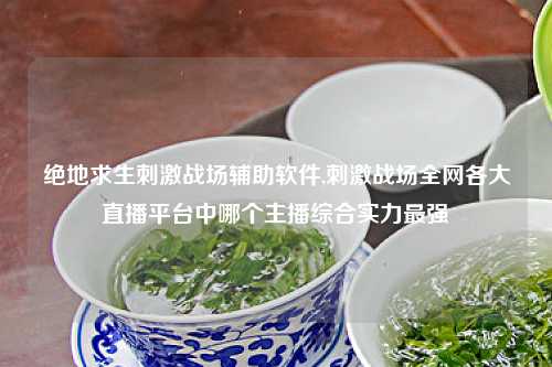 绝地求生刺激战场辅助软件,刺激战场全网各大直播平台中哪个主播综合实力最强