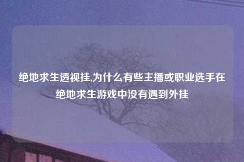 绝地求生透视挂,为什么有些主播或职业选手在绝地求生游戏中没有遇到外挂