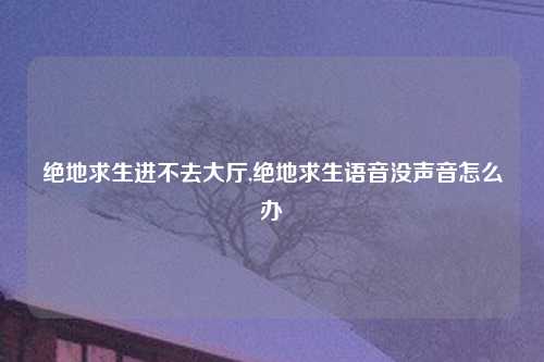绝地求生进不去大厅,绝地求生语音没声音怎么办