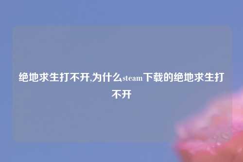 绝地求生打不开,为什么steam下载的绝地求生打不开