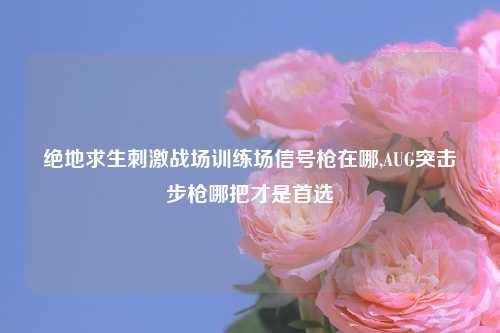 绝地求生刺激战场训练场信号枪在哪,AUG突击步枪哪把才是首选