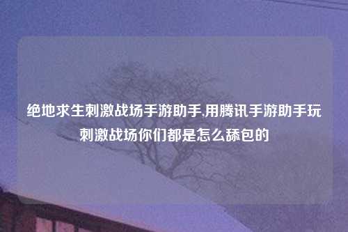 绝地求生刺激战场手游助手,用腾讯手游助手玩刺激战场你们都是怎么舔包的
