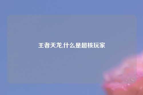 王者天龙,什么是超核玩家