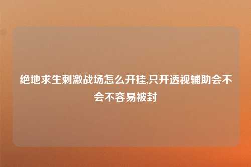 绝地求生刺激战场怎么开挂,只开透视辅助会不会不容易被封